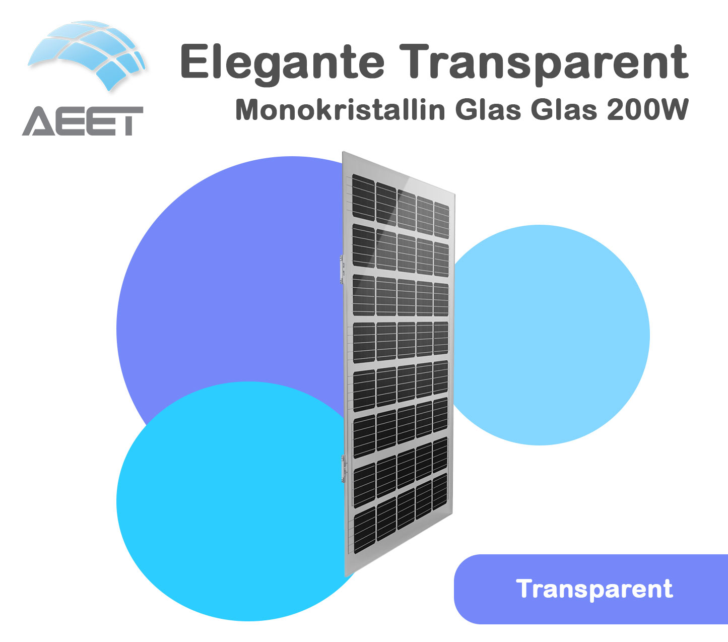 Solarmodule 1600x950x9mm Glas Glas Transparent Mono Solarmodule 1600x950x9mm Glas Glas Transparent Mono